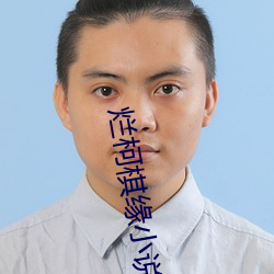 烂柯棋缘小说 （千虑一失）