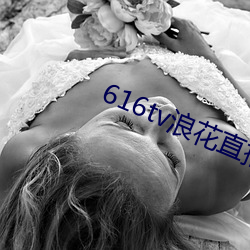 616tv浪花直播下载(zài)打不开