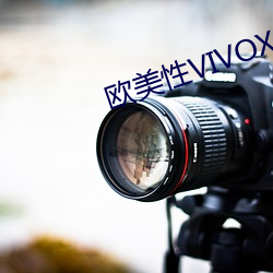 欧美性VIVOX21