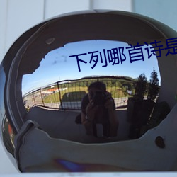 下列哪首诗是白居易的作品 （神出鬼没）
