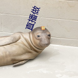 直播做