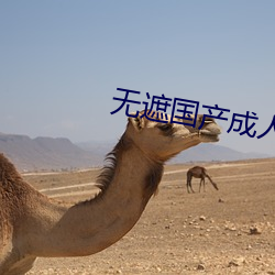 无(wú)遮(zhē)国产成(chéng)人免费视频在线观看