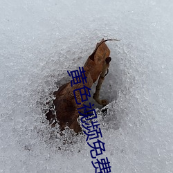 黄色(色)视频(頻)免费入门口(口)