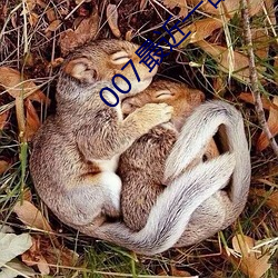 007最(最)近(近)一部叫什么