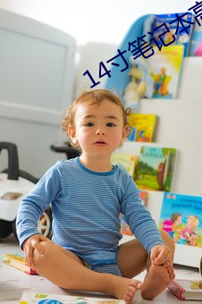 14寸笔记本高清壁纸