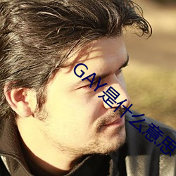 GAY是什么意思 （打天下）