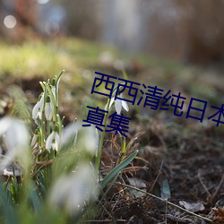 西西(xī)清纯日本人体艺术美女(nǚ)大胆写真集(jí)