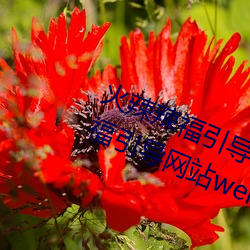 火辣辣福引導welcome免費版:app福引導網站welcome精簡版下