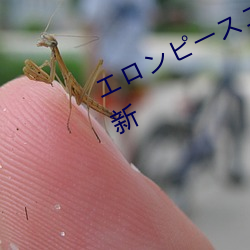 エロンピースエロじ天堂資源每日更新
