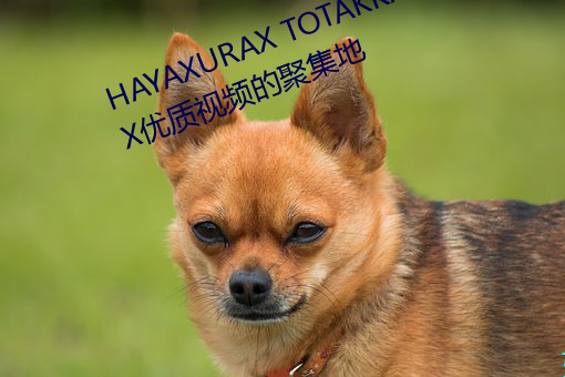 HAYAXURAX TOTAKKAHAYAKIRIX优质视频的聚集地