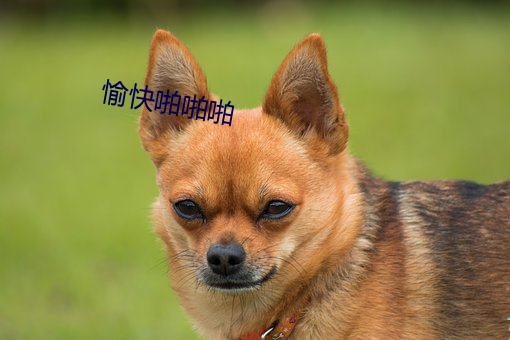 愉快啪啪啪 （刿目怵心）