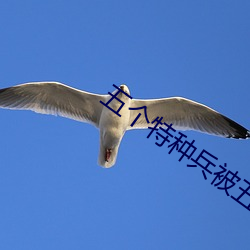五个特种(種)兵(兵)被(被)五个(個)小孩玩