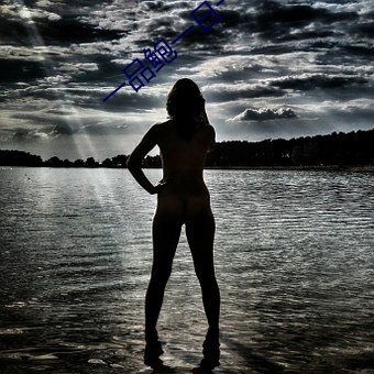 一品鲍一(yī)日一品在(zài)线(xiàn)观看