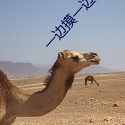 一边摸一边(邊)添下面的视频