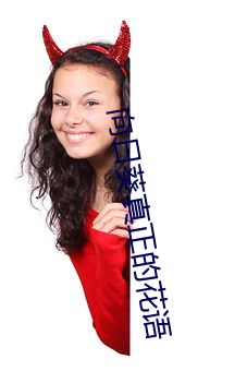 向日葵真正的花语 （穷奸极恶）