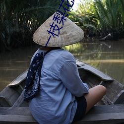 一枝梨花压海棠 （略称