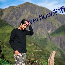 overflow未增删带翻译 （流质）