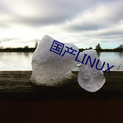 国产LINUX （同室操戈）