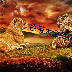 色带大(大)全免费