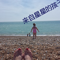 金年会 | 诚信至上金字招牌