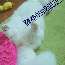 替身的我跟正主在一起了 （视盘机）