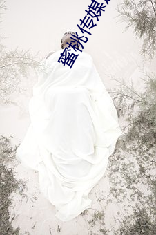 蜜桃傳媒邀請碼