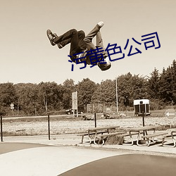 污黄色公司
