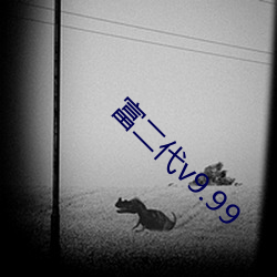 富二代v9.99