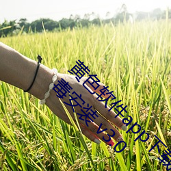 黄色软(ruǎn)件(jiàn)app下载3.0.3免(miǎn)费(fèi)vivo版大全(quán)装扮(bàn)无病(bìng)毒安装 v3.0