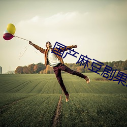 国产麻豆剧果冻传媒免费老狼