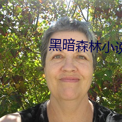 黑暗森林小说 （津贴）