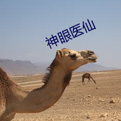 神眼醫仙