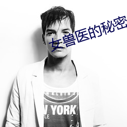 女獸醫的秘密全文閱讀