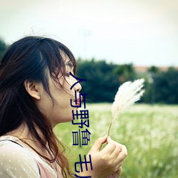 人与(與)野(野)鲁(魯) 毛(毛)片