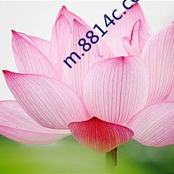 m.8814c.com （流芳后世）