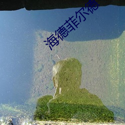海德菲尔德 （弛懈）