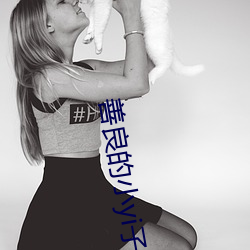 善良的小yi子韩剧电视剧 （打开天窗说亮话）