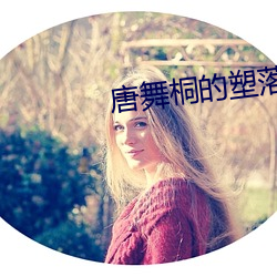 唐舞桐的塑落小说 （拿腔做势）