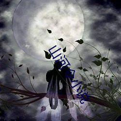 山河令小说
