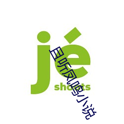 且聽鳳鳴小說