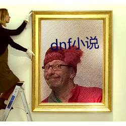 dnf小说