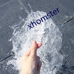 xhomster （同日而语）