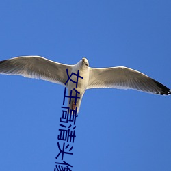 女生(shēng)高(gāo)清头(tóu)像