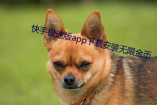 快手极速版app下载安装无限金币 （正经八板）