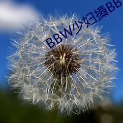 BBW少婦搡BBBB搡BBBB