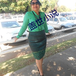 盖世小说