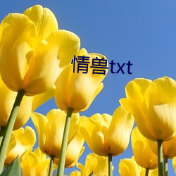 情兽txt