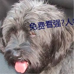 免(免)费看(看)强(強)?人物(物)漫软(軟)件(件)下载(載)