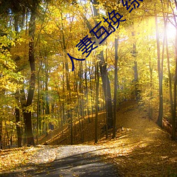 金年会 | 诚信至上金字招牌
