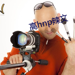 高hnp辣文